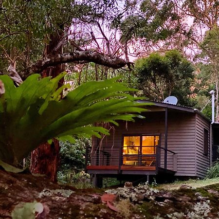 Whispering Valley Cottage Retreat Maleny Kültér fotó