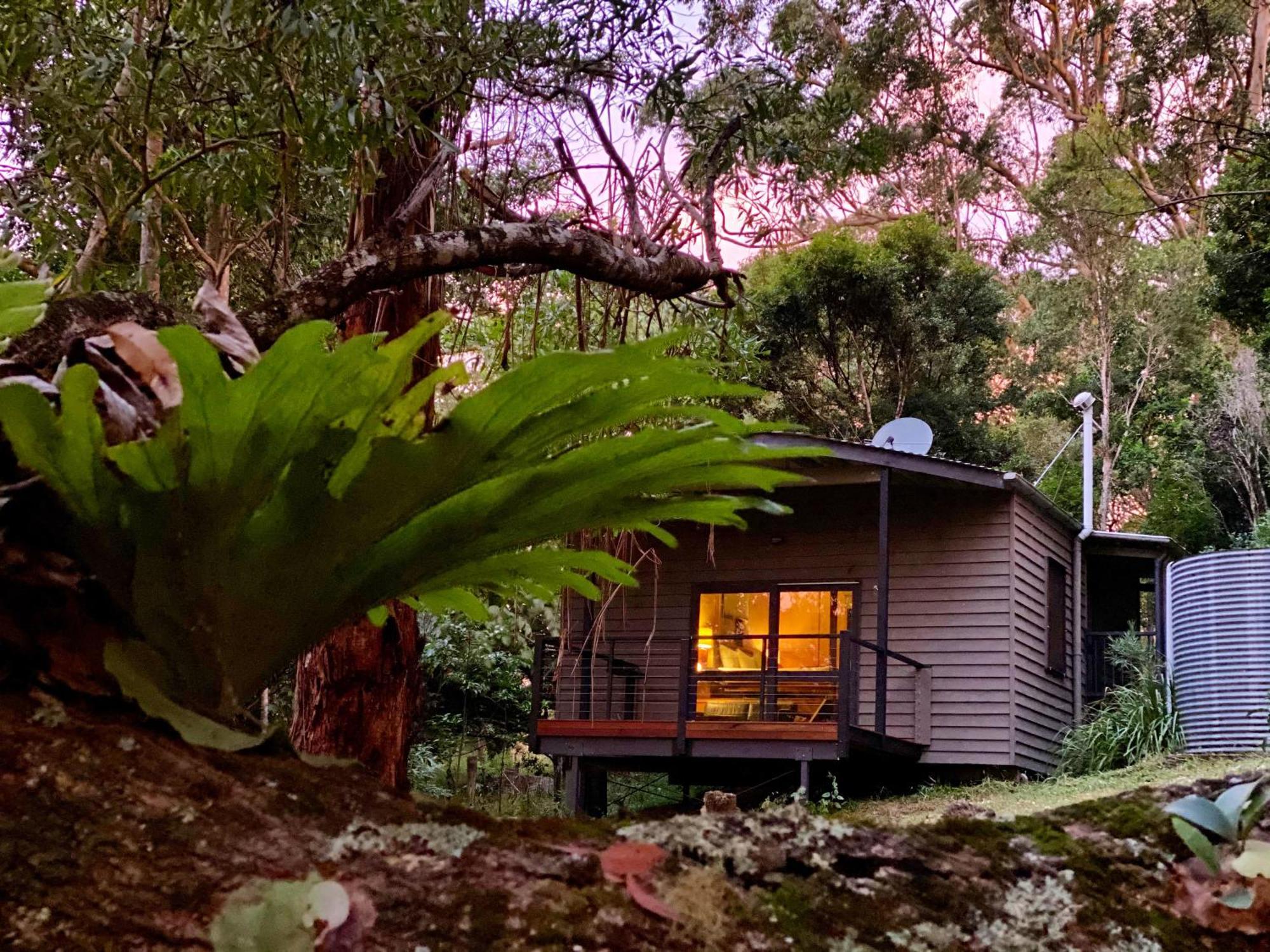 Whispering Valley Cottage Retreat Maleny Kültér fotó