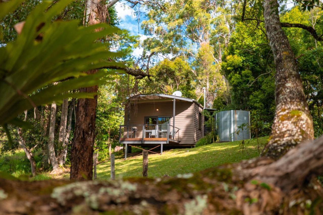 Whispering Valley Cottage Retreat Maleny Kültér fotó