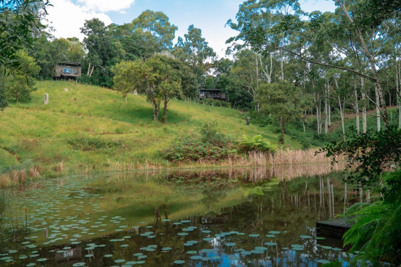 Whispering Valley Cottage Retreat Maleny Kültér fotó