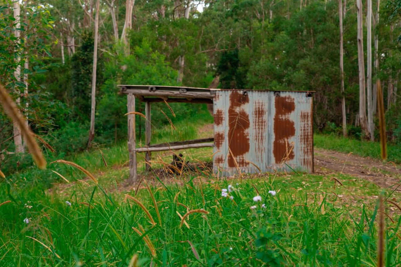 Whispering Valley Cottage Retreat Maleny Kültér fotó