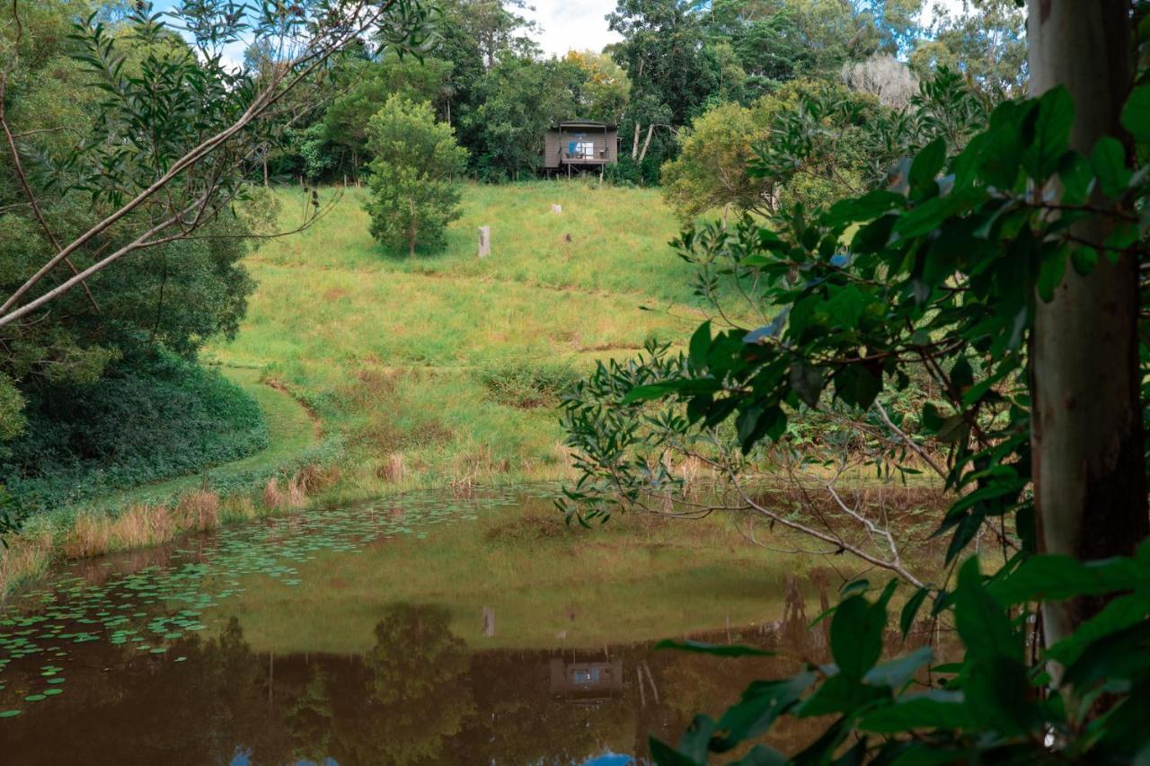 Whispering Valley Cottage Retreat Maleny Kültér fotó