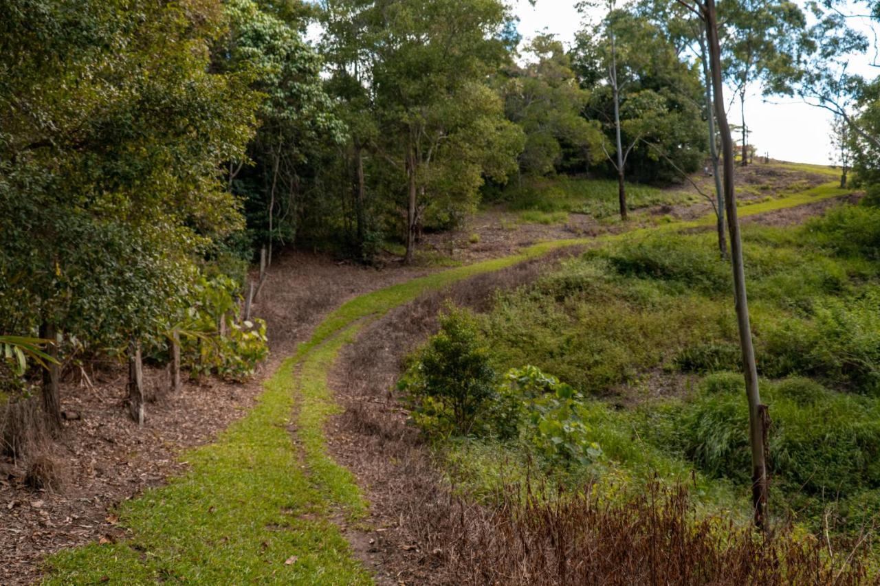 Whispering Valley Cottage Retreat Maleny Kültér fotó