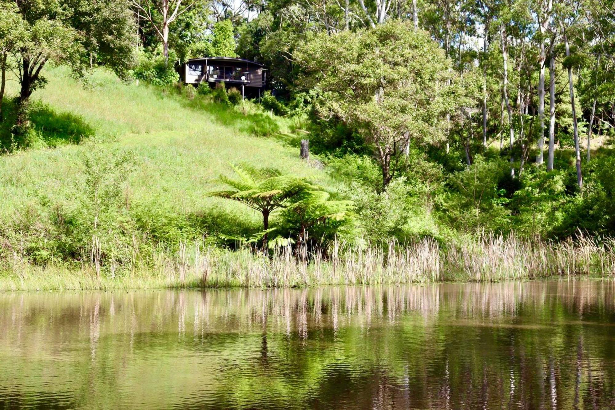 Whispering Valley Cottage Retreat Maleny Kültér fotó
