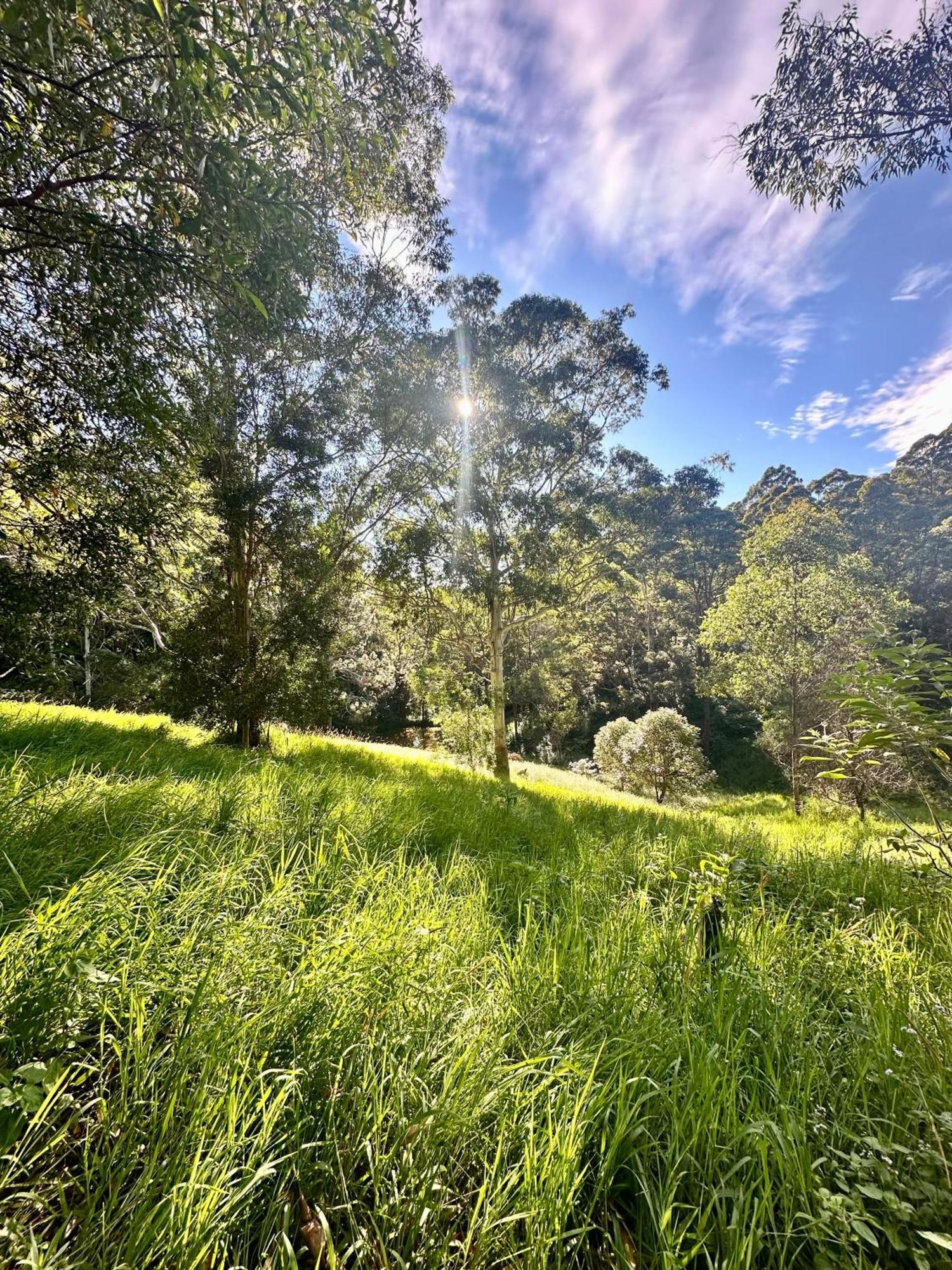 Whispering Valley Cottage Retreat Maleny Kültér fotó