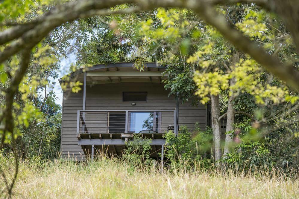 Whispering Valley Cottage Retreat Maleny Kültér fotó