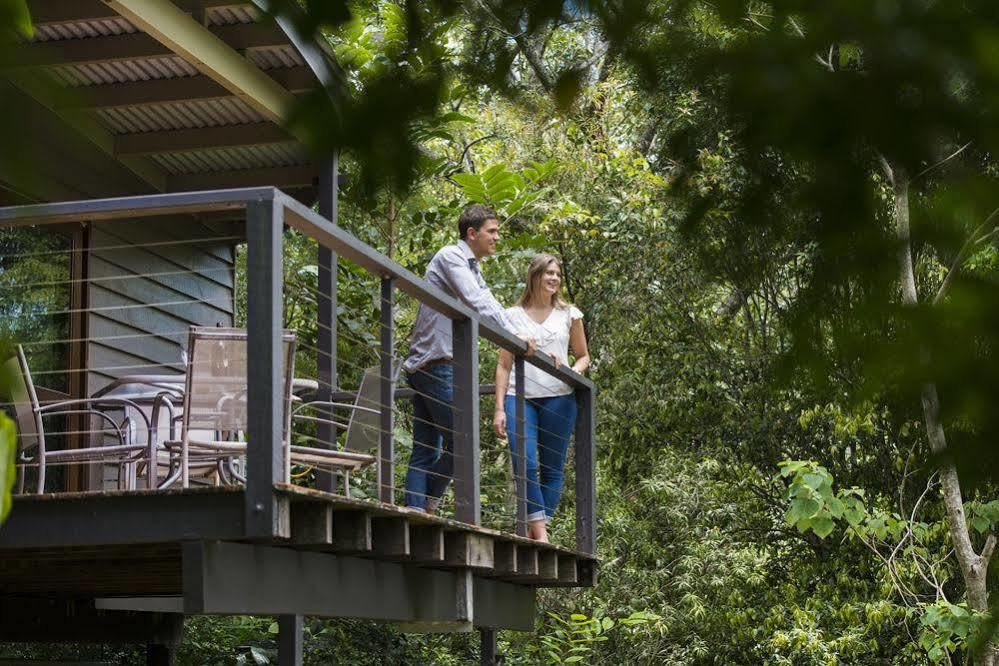 Whispering Valley Cottage Retreat Maleny Kültér fotó