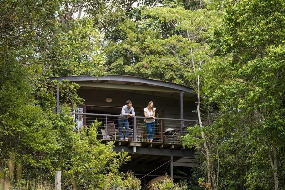 Whispering Valley Cottage Retreat Maleny Kültér fotó