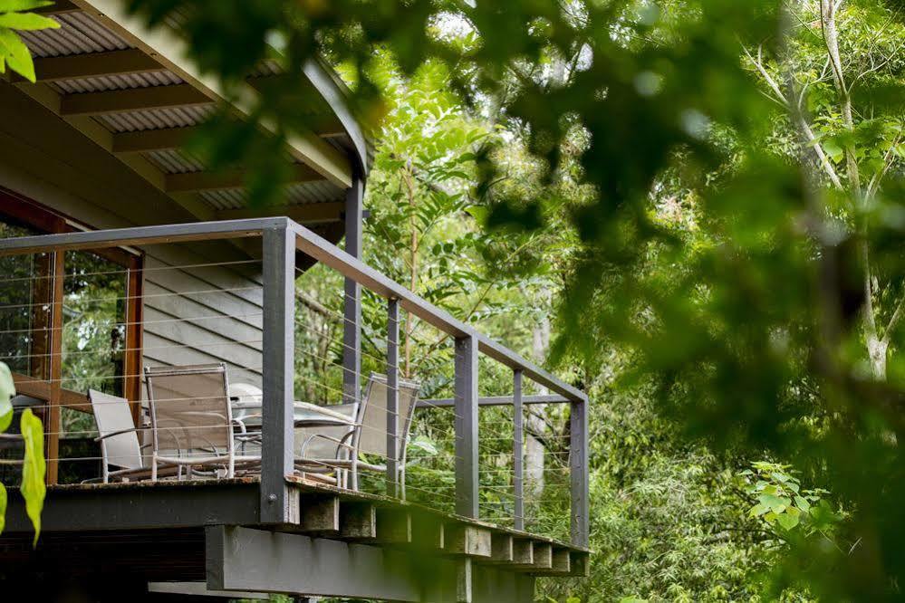 Whispering Valley Cottage Retreat Maleny Kültér fotó