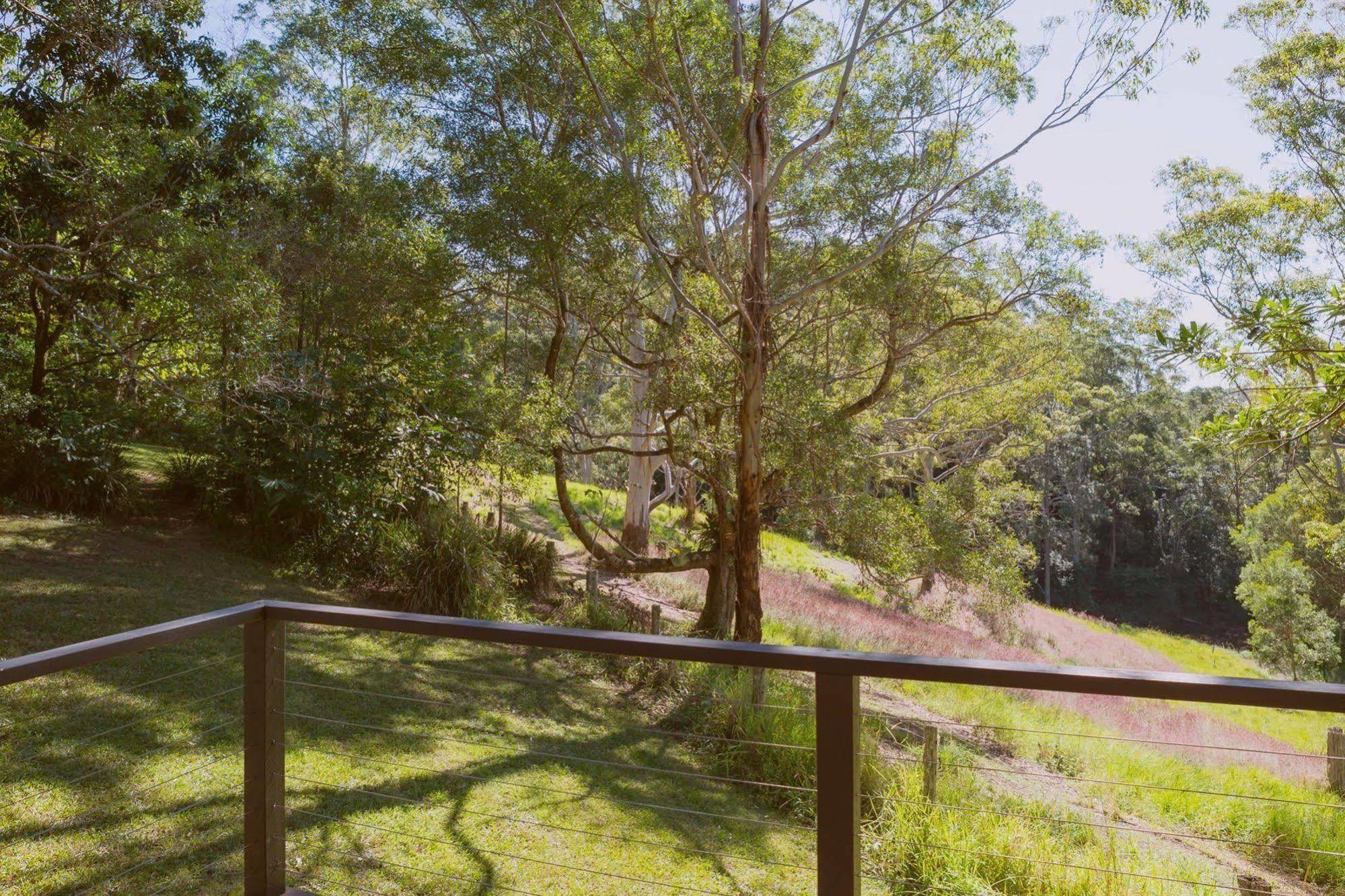 Whispering Valley Cottage Retreat Maleny Kültér fotó
