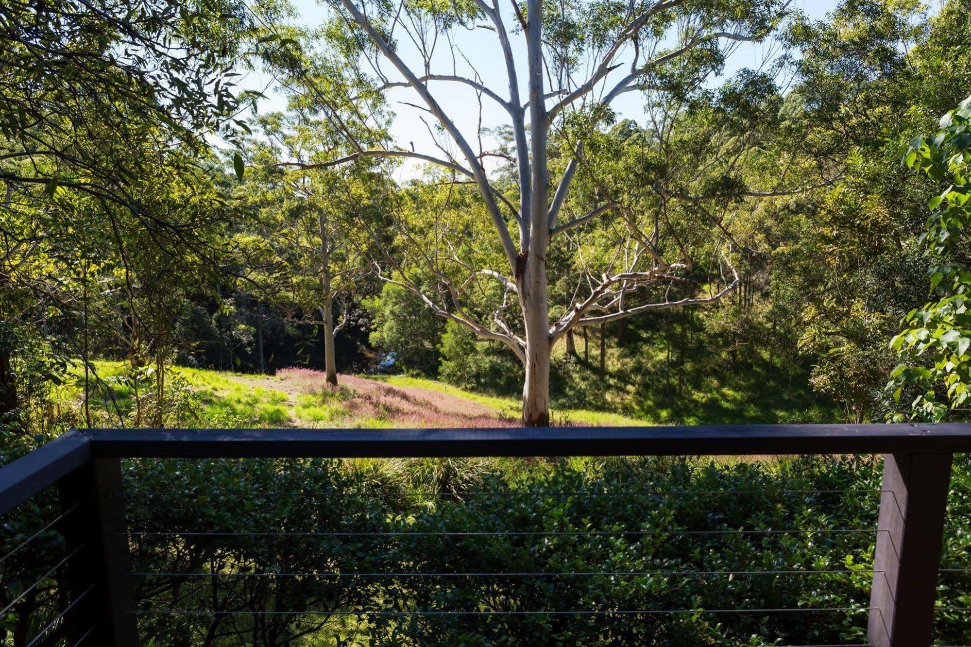 Whispering Valley Cottage Retreat Maleny Kültér fotó